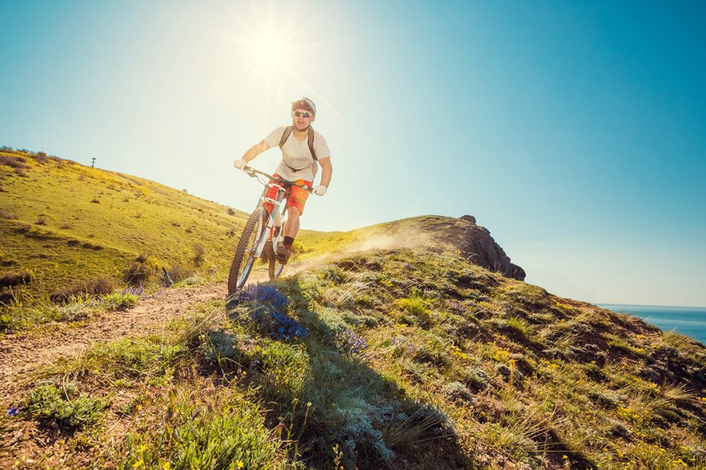 South Hams Cycling