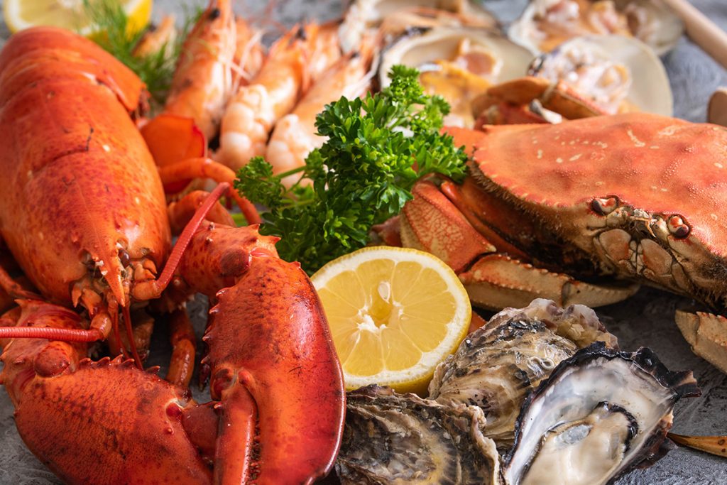 South Hams Sea Food Restaurants