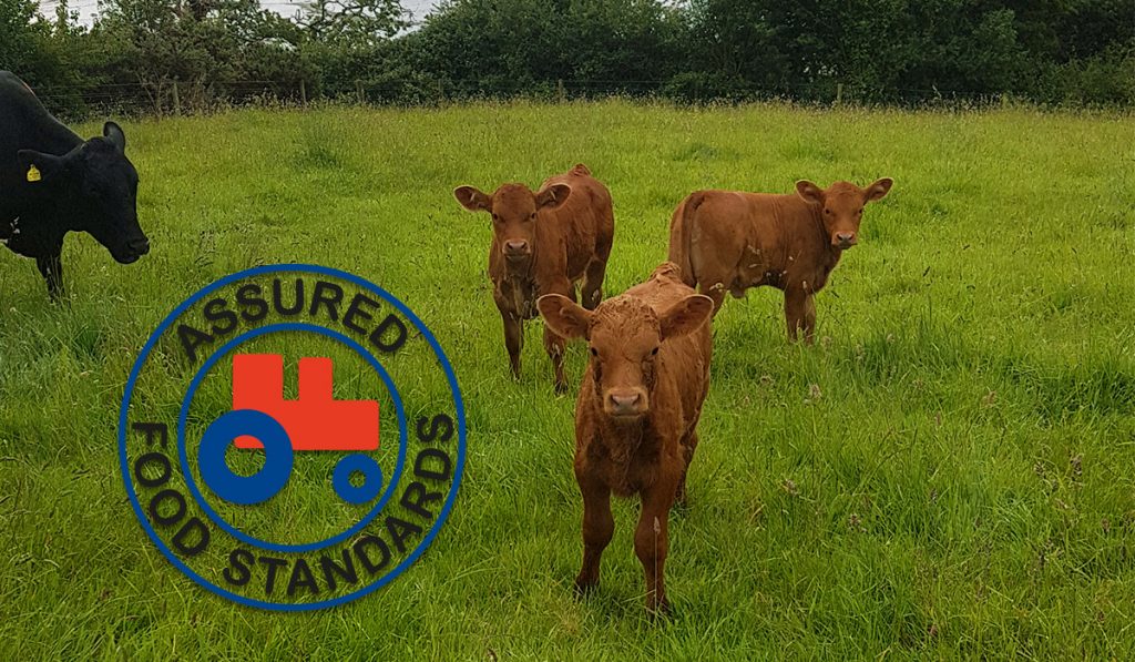 Woodhouse Farm Red Tractor - Cow & Calves